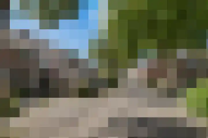 Lekerwaard 50 Alkmaar thumbnail 7