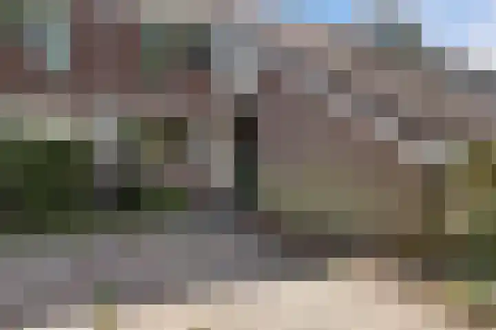 Lekerwaard 50 Alkmaar thumbnail 8