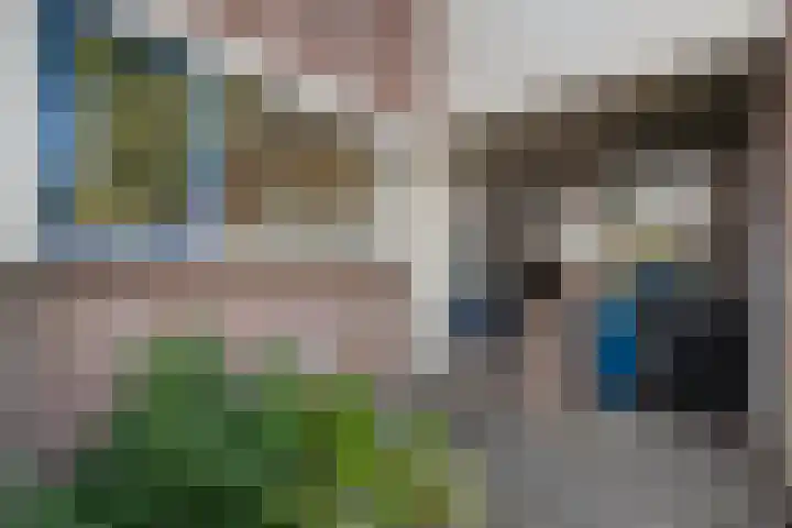 Lekerwaard 50 Alkmaar thumbnail 9