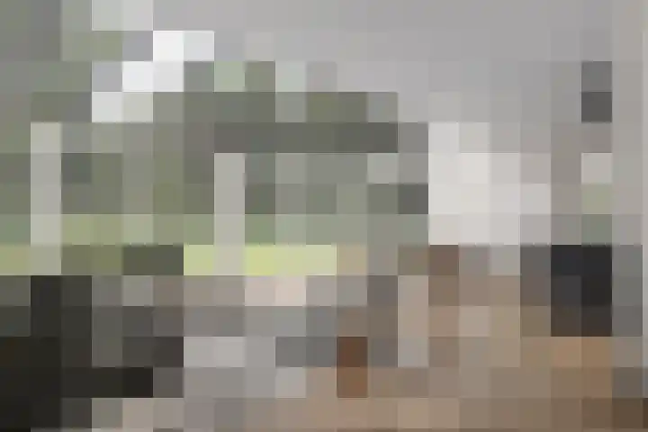 Lekerweg 13 Wijdenes thumbnail 11