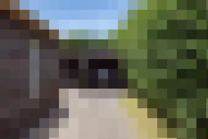 Lekerweg 13 Wijdenes thumbnail 19