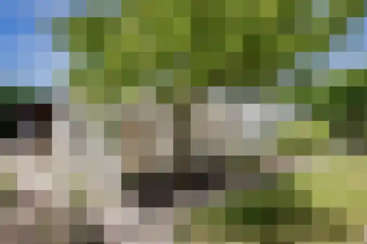 Lekerweg 13 Wijdenes thumbnail 20