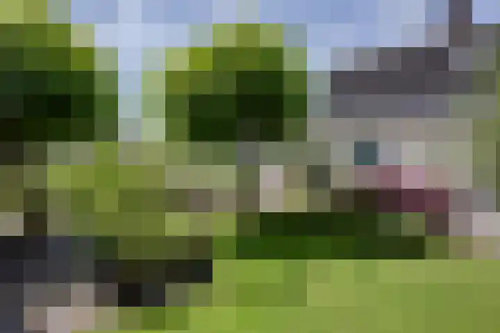 Lekerweg 13 Wijdenes thumbnail 25