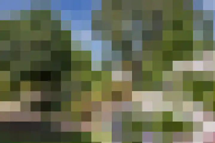 Lekerweg 13 Wijdenes thumbnail 26