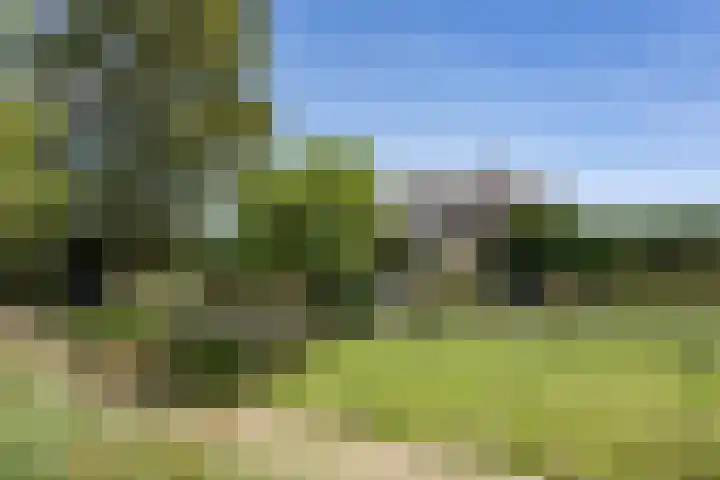 Lekerweg 13 Wijdenes thumbnail 27