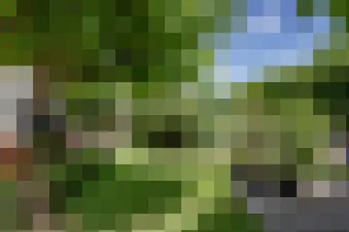 Lekerweg 13 Wijdenes thumbnail 5