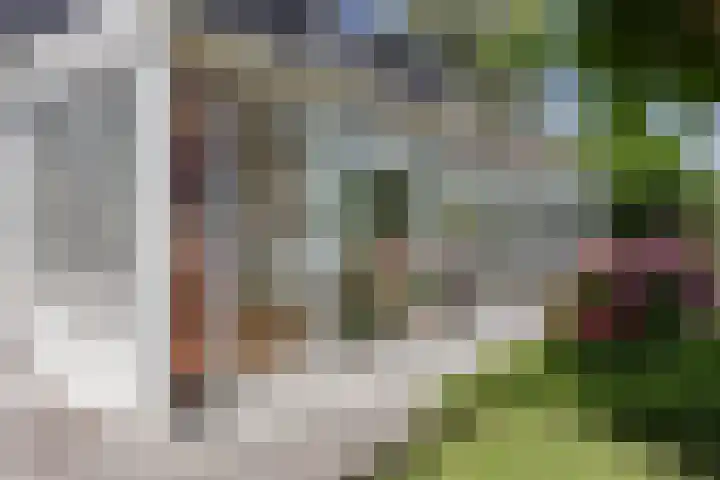 Lekerweg 13 Wijdenes thumbnail 6