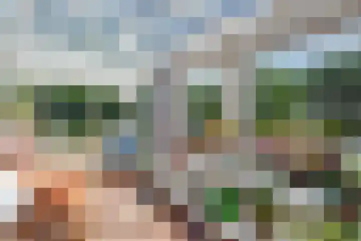 Lekerweg 13 Wijdenes thumbnail 7
