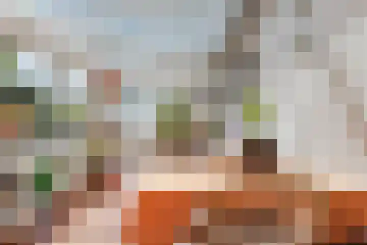 Lekerweg 13 Wijdenes thumbnail 8