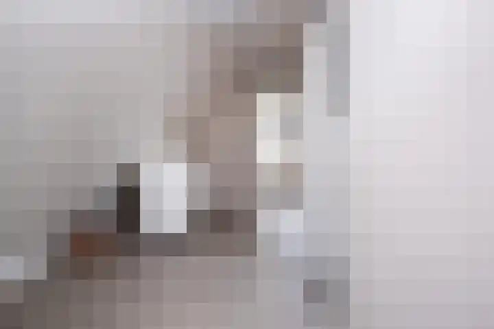 Lekerweg 27 Wijdenes thumbnail 25