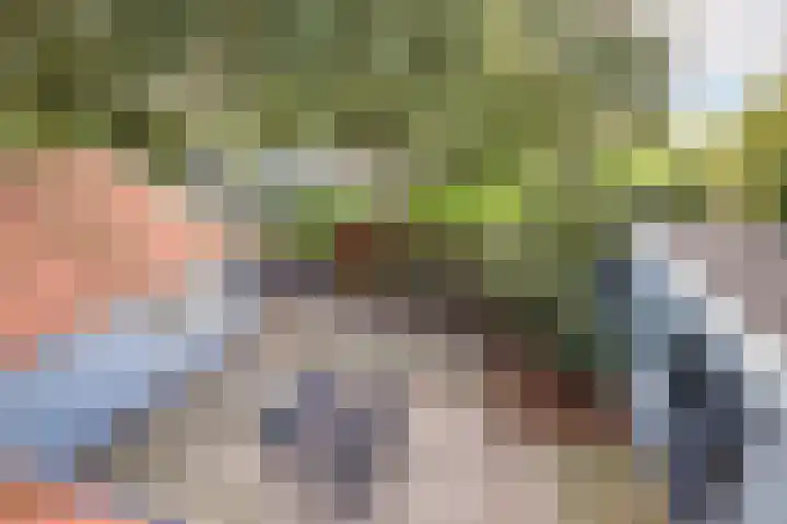Lekerweg 27 Wijdenes thumbnail 29