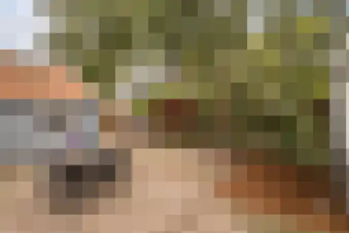 Lekerweg 27 Wijdenes thumbnail 33