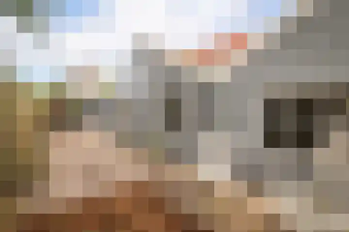 Lekerweg 27 Wijdenes thumbnail 35