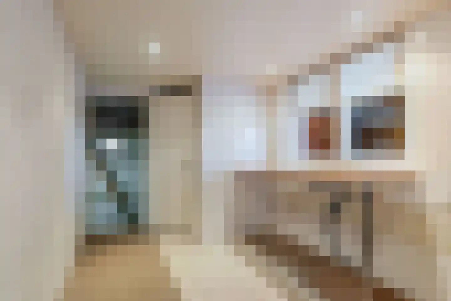 Lekerweg 28 Wijdenes thumbnail 19