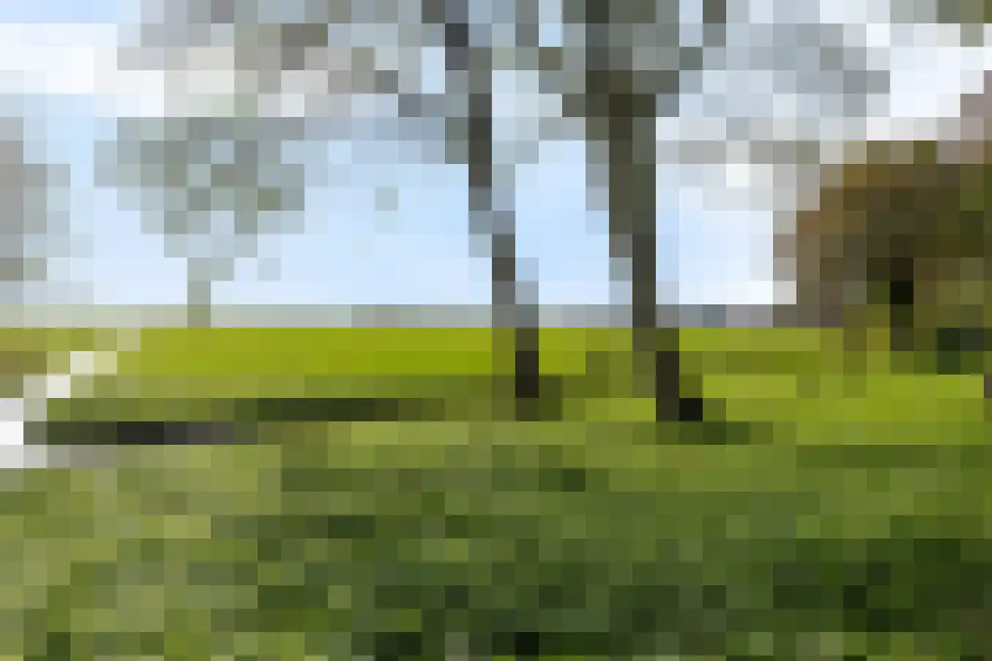 Lekerweg 28 Wijdenes thumbnail 40