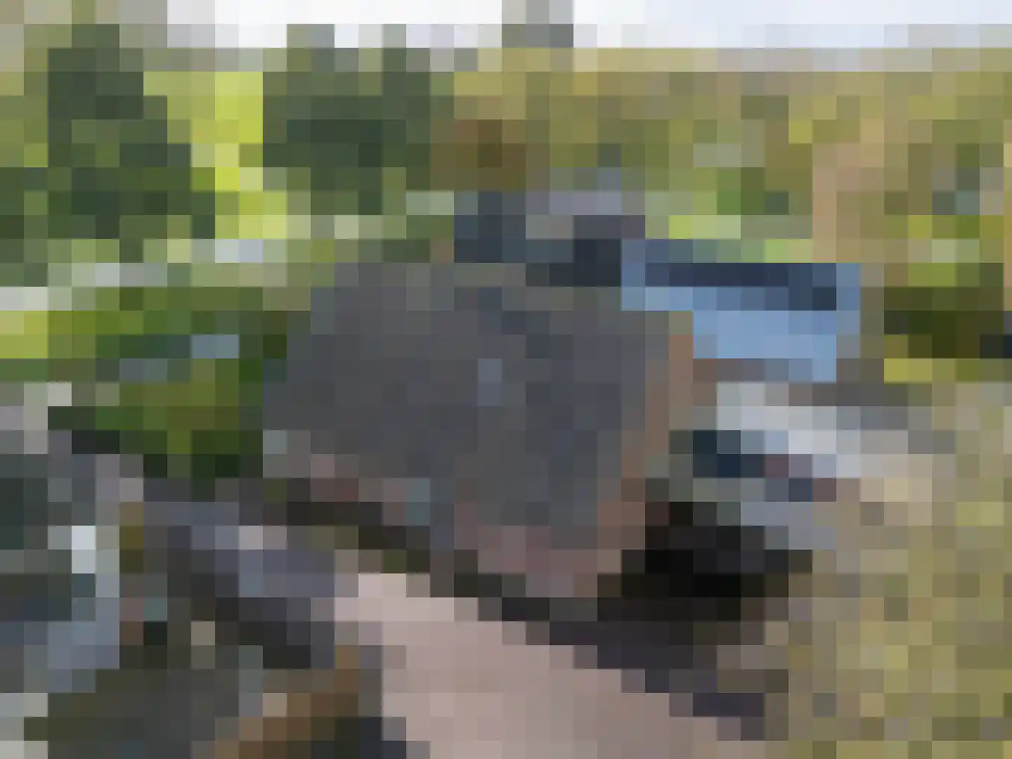 Lekerweg 28 Wijdenes thumbnail 43