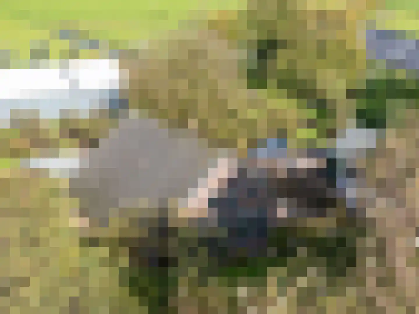 Lekerweg 28 Wijdenes thumbnail 46