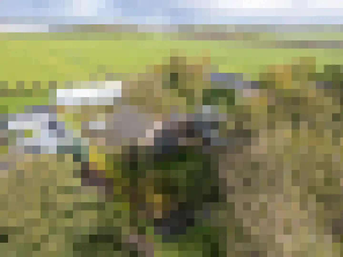 Lekerweg 28 Wijdenes thumbnail 47