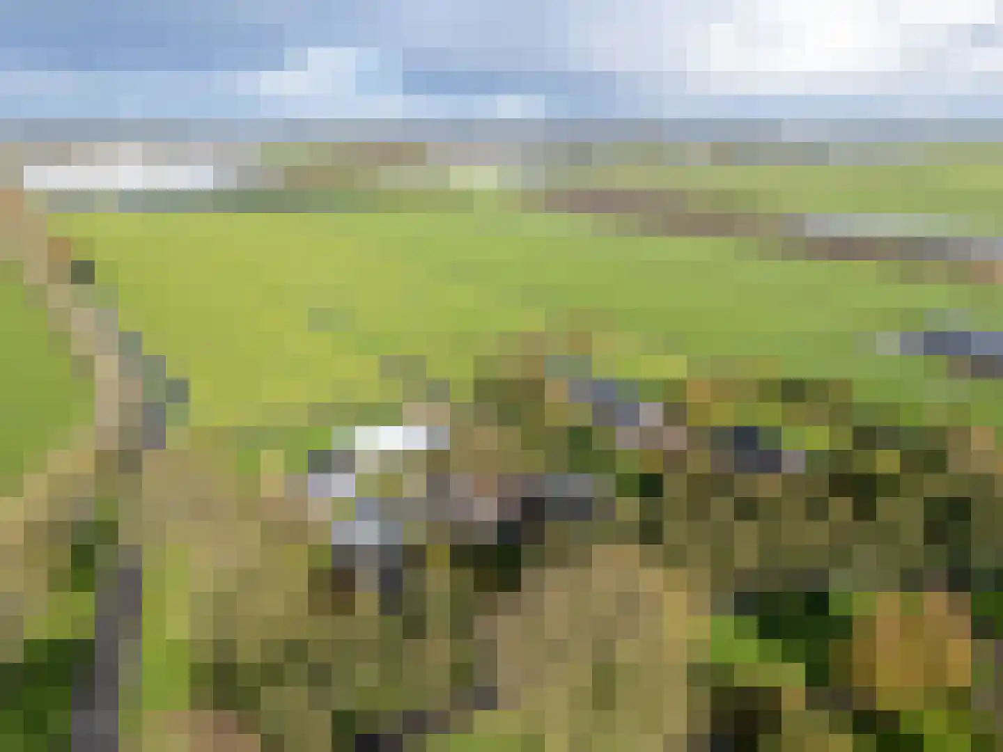 Lekerweg 28 Wijdenes thumbnail 49