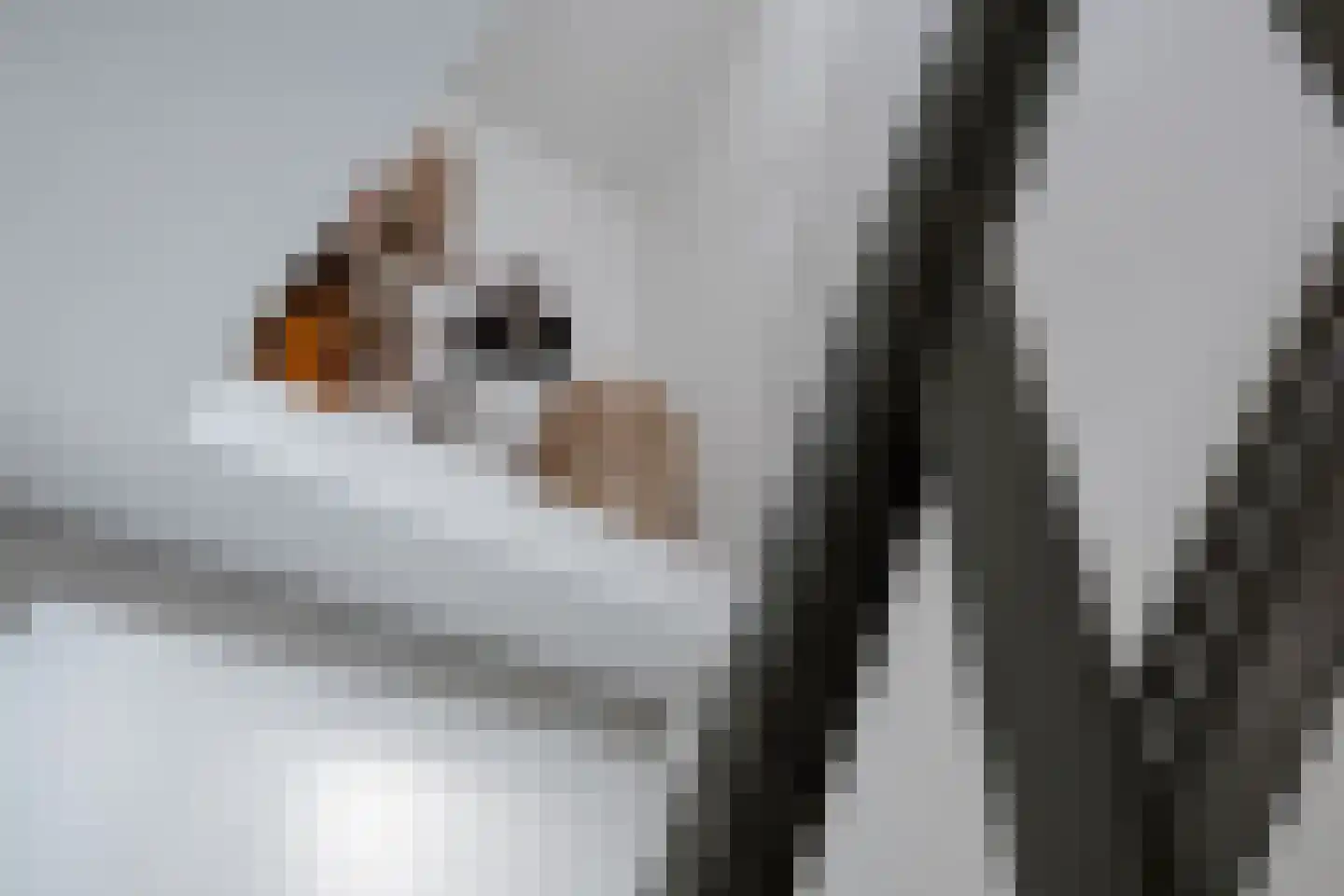 Lekerweg 36 Wijdenes thumbnail 15