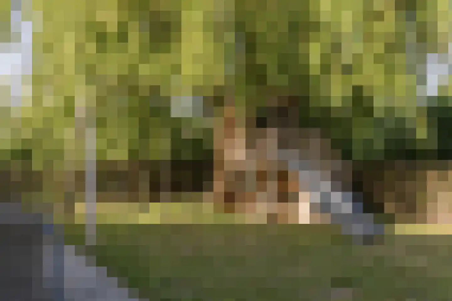 Lekerweg 36 Wijdenes thumbnail 32