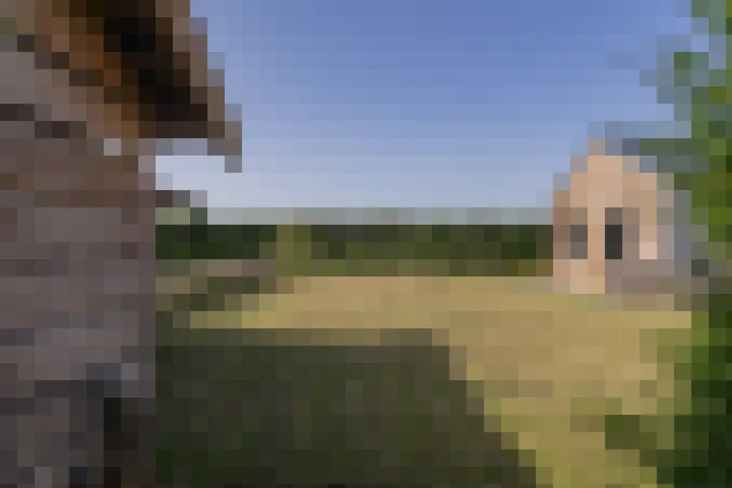 Lekerweg 36 Wijdenes thumbnail 35