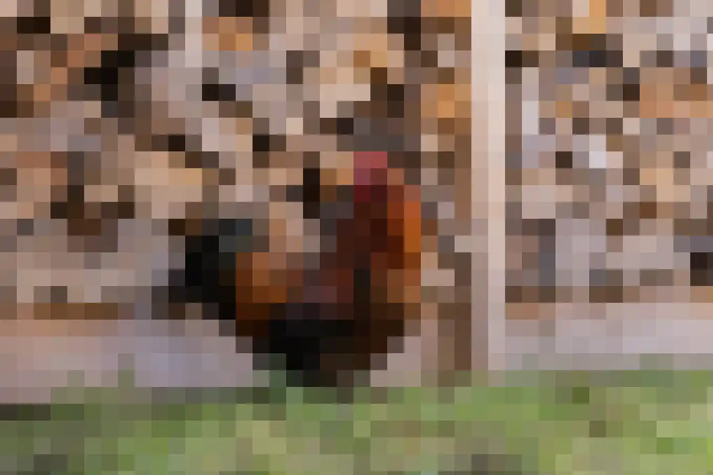 Lekerweg 36 Wijdenes thumbnail 37