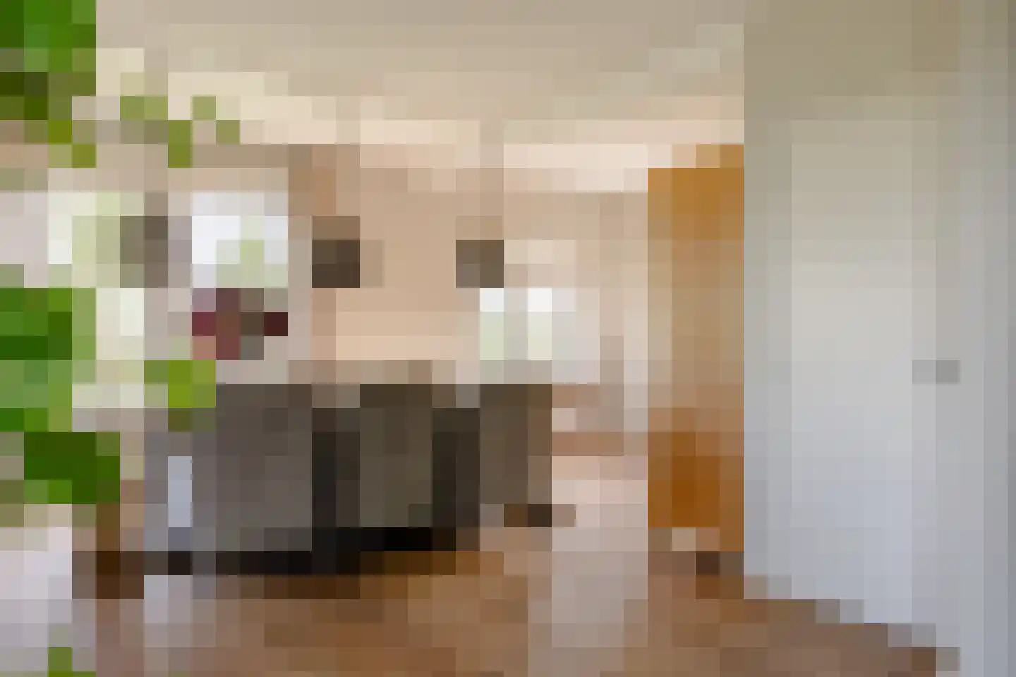 Lekerweg 36 Wijdenes thumbnail 4