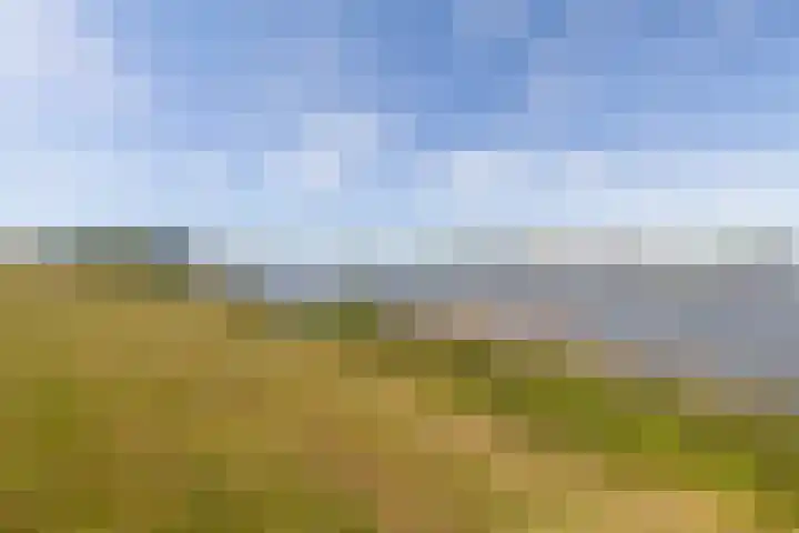Lekkade 45 Kinderdijk thumbnail 36