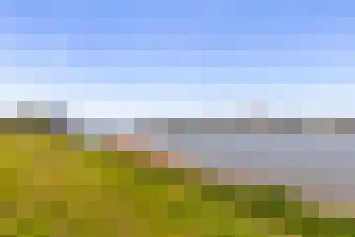 Lekkade 47 Kinderdijk thumbnail 31