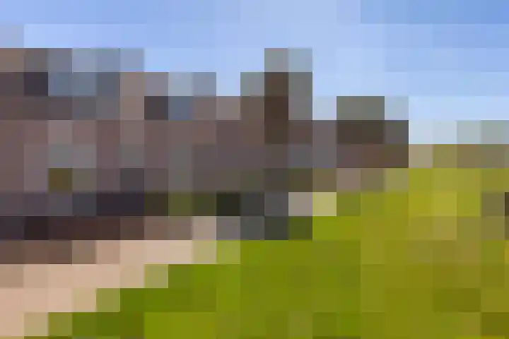 Lekkade 47 Kinderdijk thumbnail 33