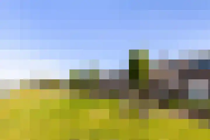 Lekkade 47 Kinderdijk thumbnail 34