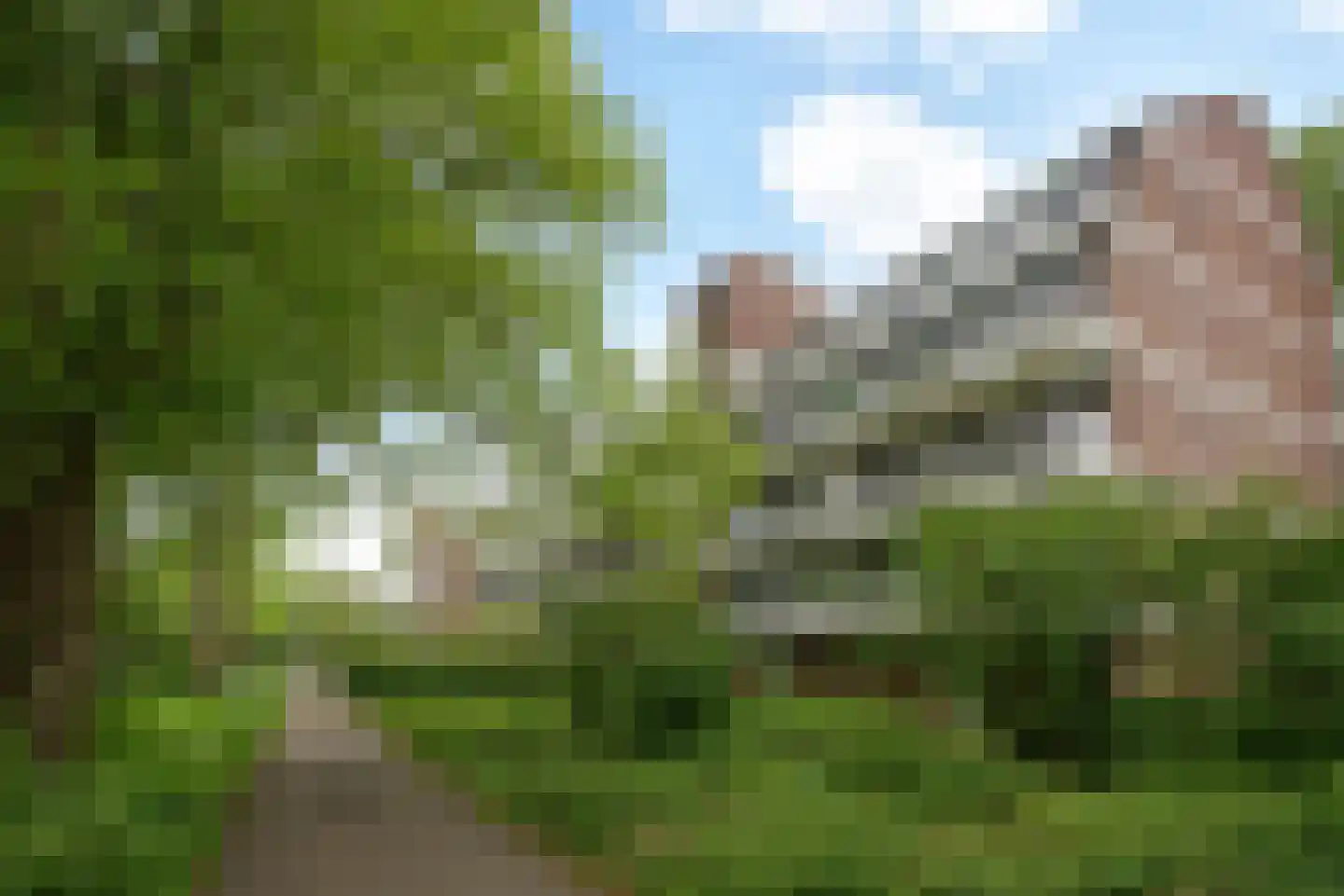 Lekkenburg 50 Gouda
