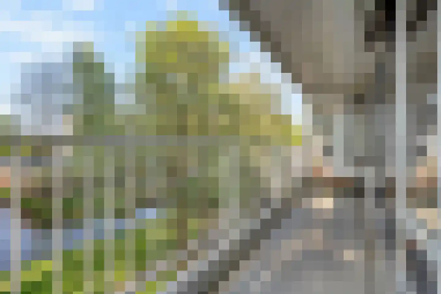 Lekkenburg 50 Gouda thumbnail 18