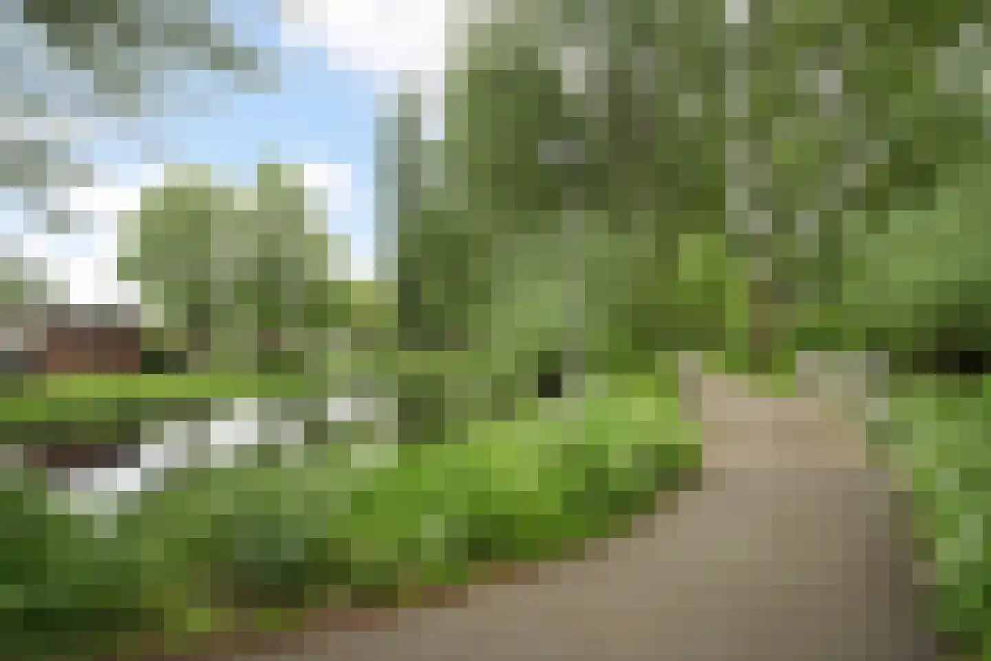 Lekkenburg 50 Gouda thumbnail 21