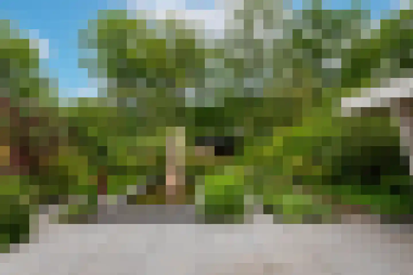 Lekkerbeetjenlaan 106 Vught thumbnail 19