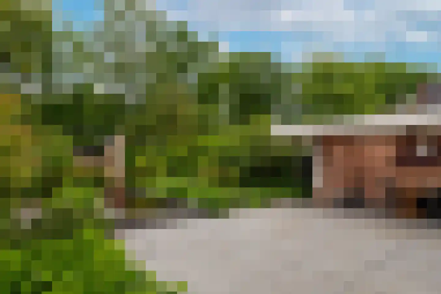 Lekkerbeetjenlaan 106 Vught thumbnail 21
