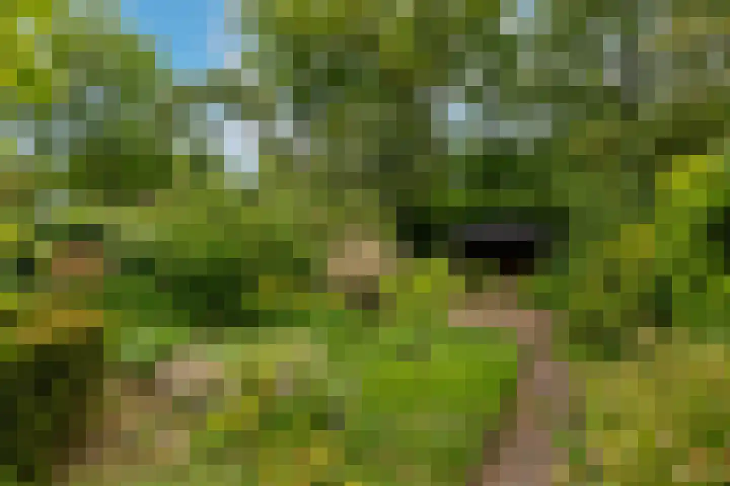 Lekkerbeetjenlaan 106 Vught thumbnail 22