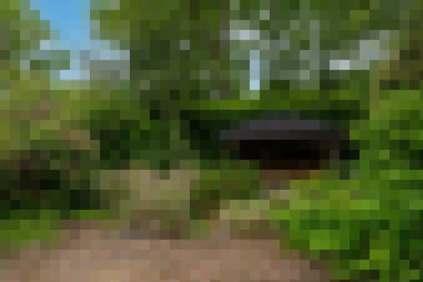 Lekkerbeetjenlaan 106 Vught thumbnail 23