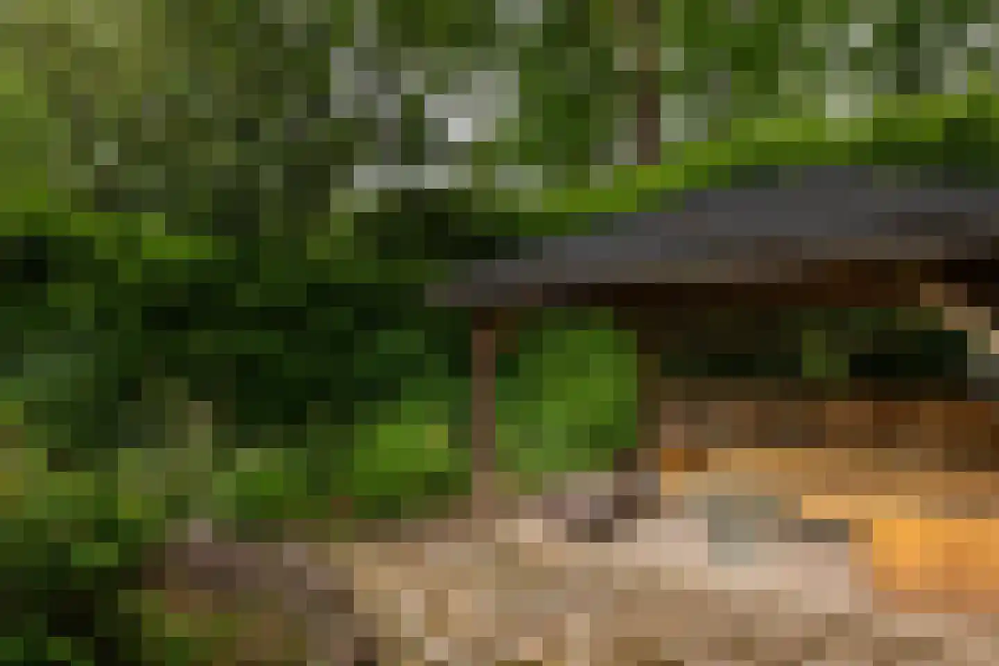Lekkerbeetjenlaan 106 Vught thumbnail 24