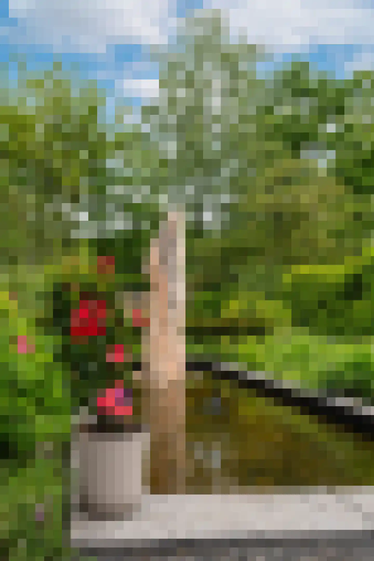 Lekkerbeetjenlaan 106 Vught thumbnail 26