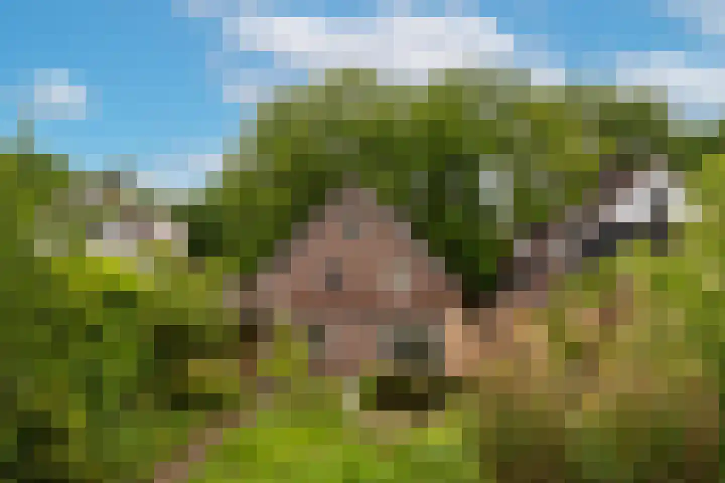 Lekkerbeetjenlaan 106 Vught thumbnail 27