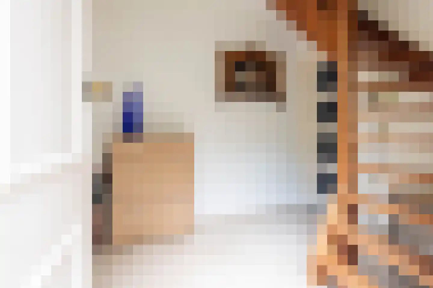 Lekkerbeetjenlaan 106 Vught thumbnail 28