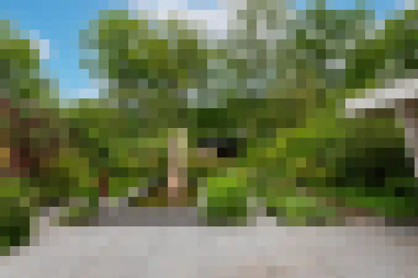 Lekkerbeetjenlaan 106 Vught thumbnail 4