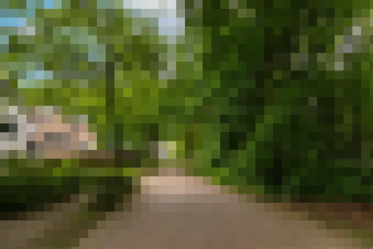 Lekkerbeetjenlaan 106 Vught thumbnail 47