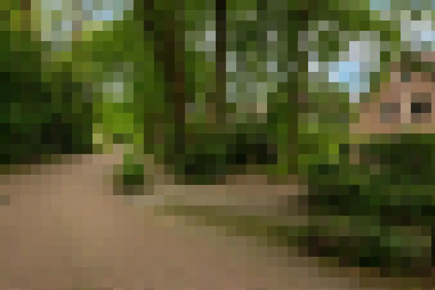 Lekkerbeetjenlaan 106 Vught thumbnail 48