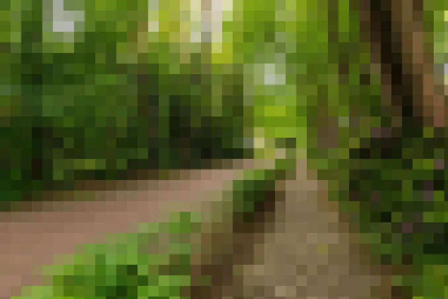 Lekkerbeetjenlaan 106 Vught thumbnail 49