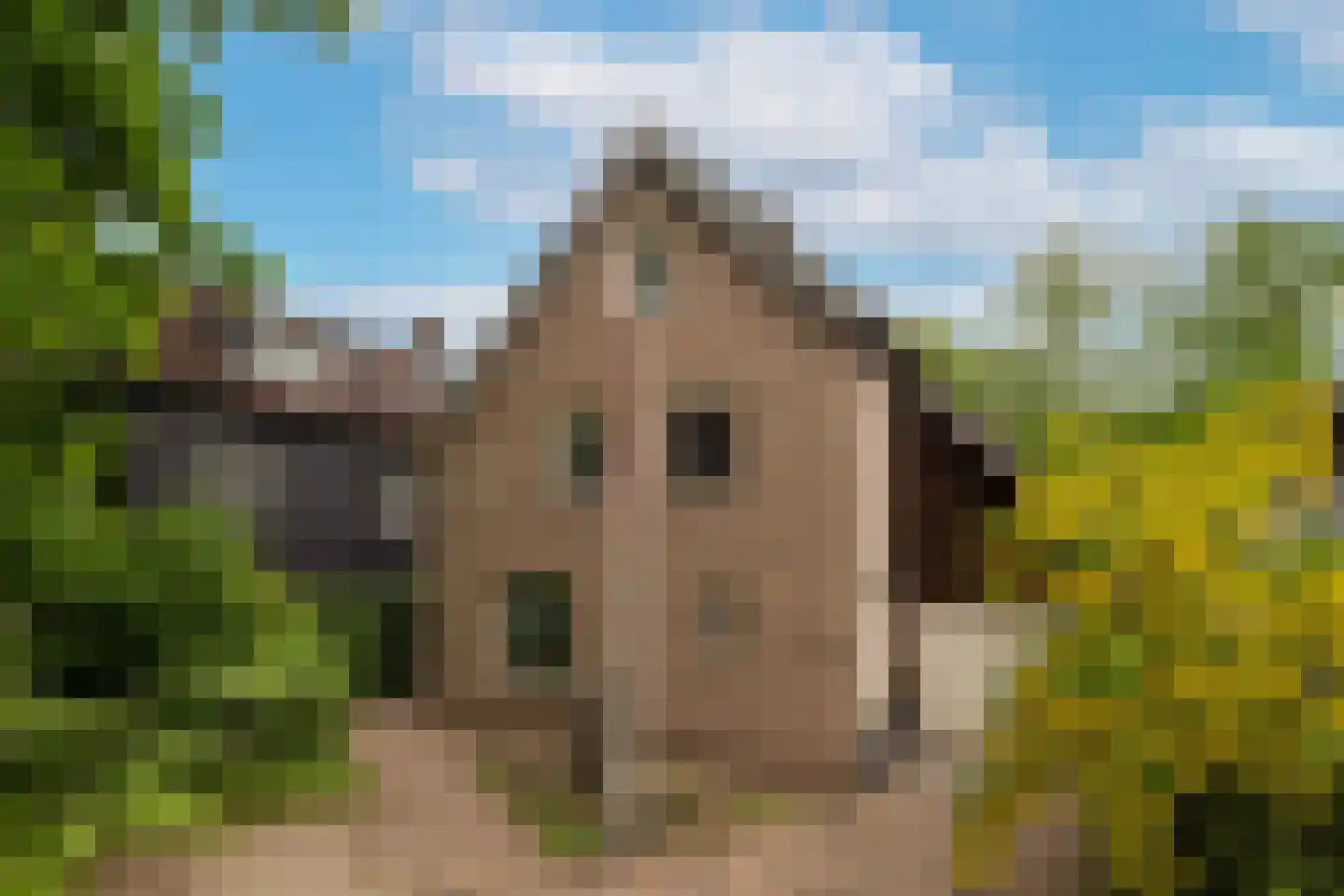 Lekkerbeetjenlaan 106 Vught thumbnail 5