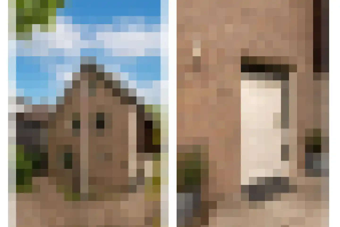Lekkerbeetjenlaan 106 Vught thumbnail 6