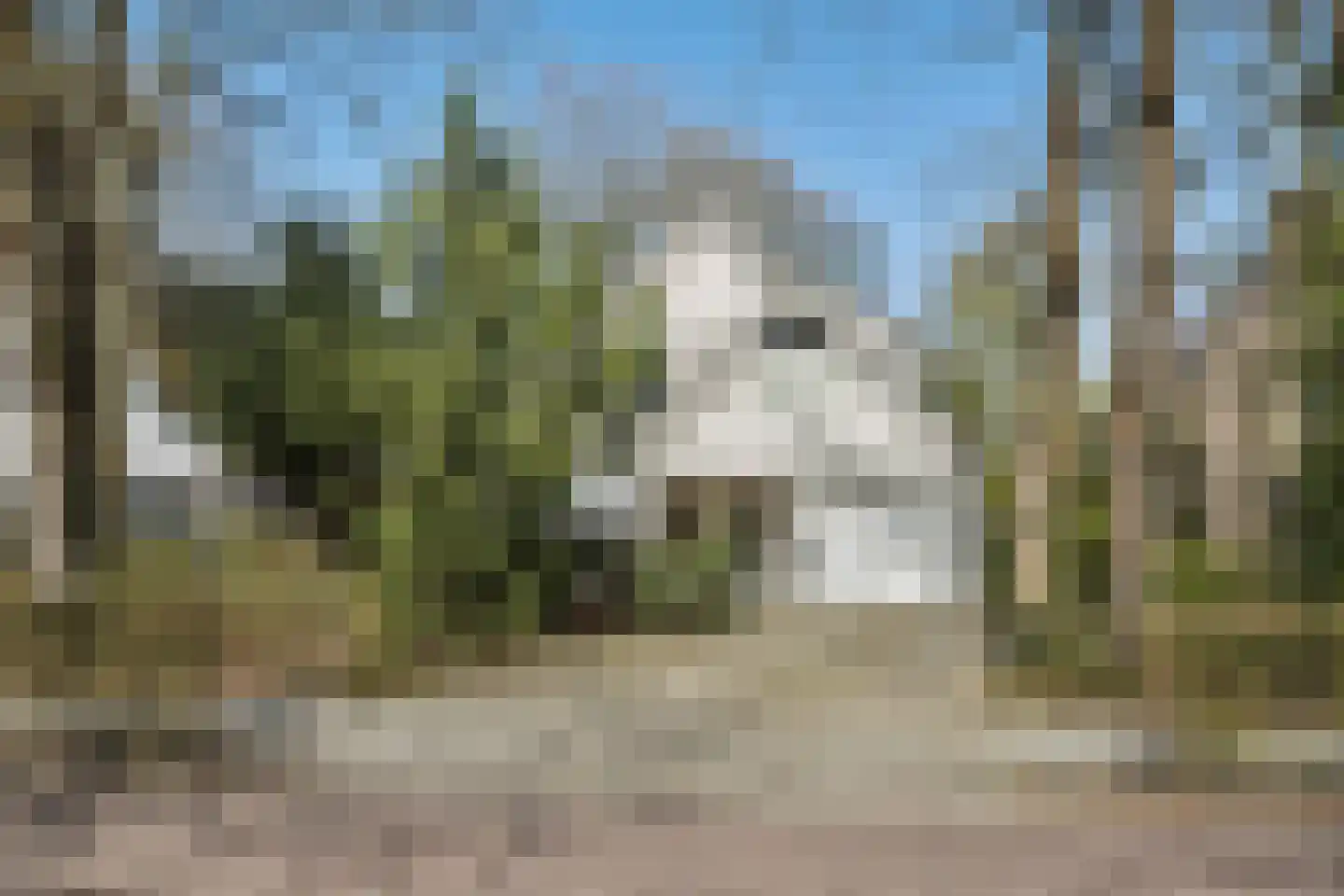 Lekkerbeetjenlaan 116 Vught